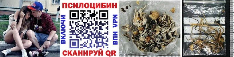 сколько стоит  Первомайск  Псилоцибиновые грибы Psilocybe 